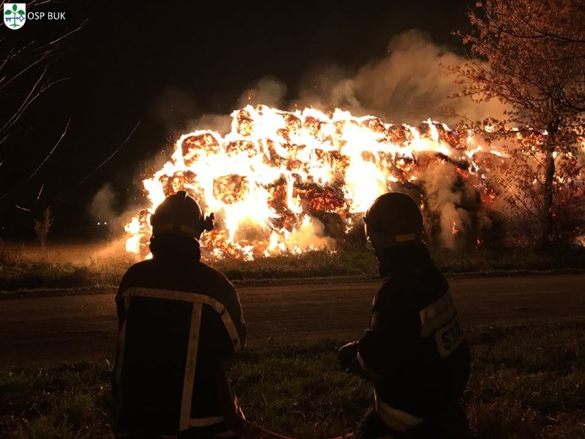 Sześć jednostek OSP gasiło nocny pożar stogu słomy
