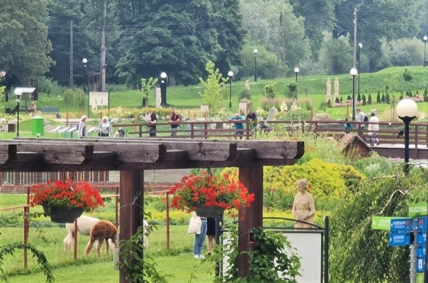 Muszyna. Sądeckie uzdrowisko zyskuje coraz większą popularność wśród turystów. Odwiedzają je przez cały tydzień [ZDJĘCIA]