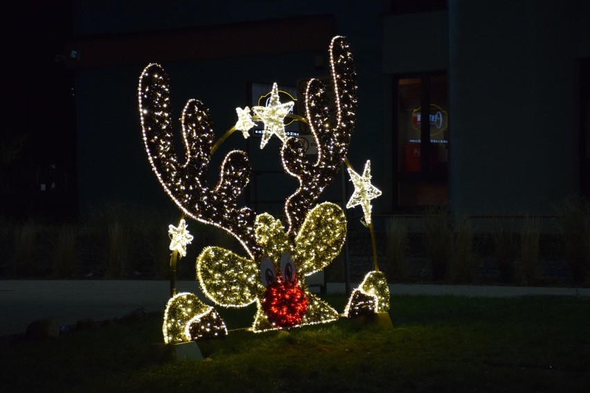 Świąteczne iluminacje w Starogardzie Gdańskim [ZDJĘCIA] 