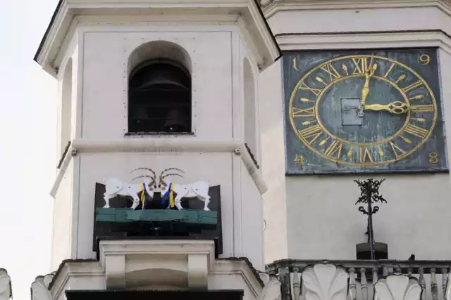 Jak poinformowali czytelnicy strony Poznański Trójkąt Bermudzki, koziołki na wieży ratuszowej nie trykały się o godz. 12.