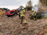 Pożar w lesie. Poszkodowana osoba. Strażacy ćwiczą ZDJĘCIA