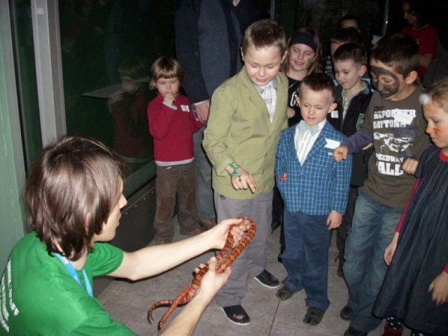 Dzieci, które odwiedziły Muzeum Przyrodniczym przeniosły się do ...