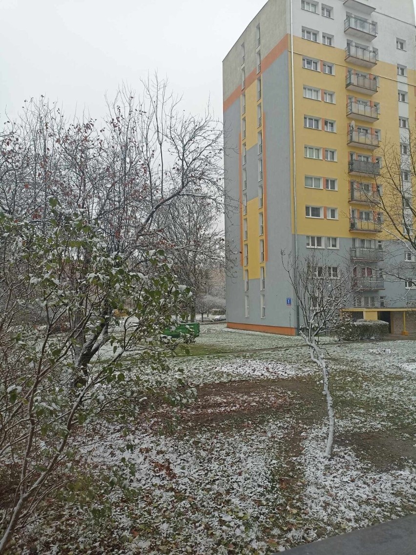 Weekend w Łodzi stoi pod znakiem pierwszych opadów śniegu, a...