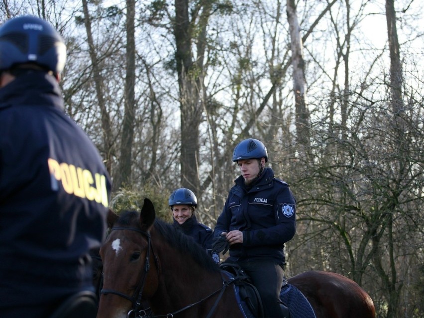 Poznańska Policja konna ma nowego wałacha. 4-letni koń rasy...