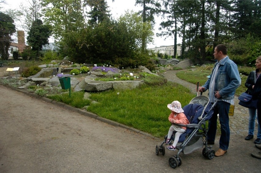 Ogród Botaniczny UAM to idealne miejsce na odpoczynek od...