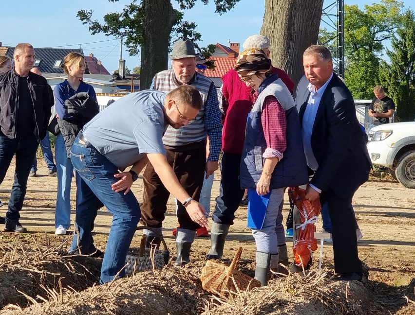 Dzień Ziemniaka i wykopki jak za dawnych lat w Celbowie (gmina Puck) - 26 września 2021