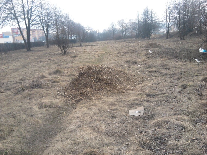 Zaczęli sprzątać teren na os. Kaszubskim w Wejherowie i nie dokończyli FOTO