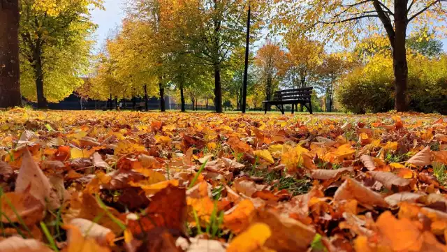 Piękna jesień 2023 w Parku-Zdrojowym w Busku-Zdroju. >>>Więcej na kolejnych zdjęciach.