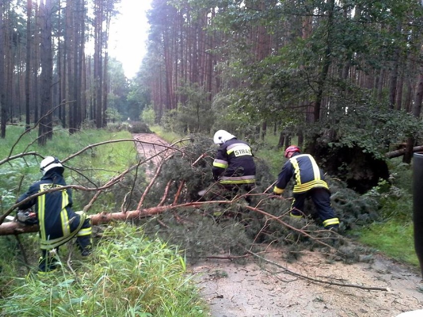 Burze w powiecie lublinieckim wyrządziły wiele szkód