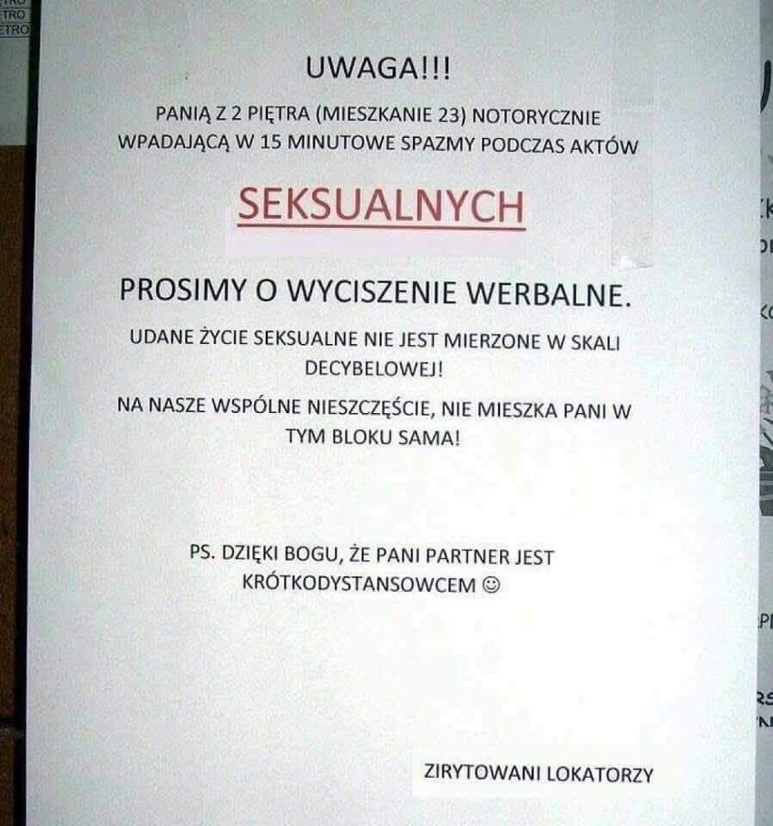 Takie rzeczy zdarzają się w woj. śląskim! Zobacz te ZDJĘCIA