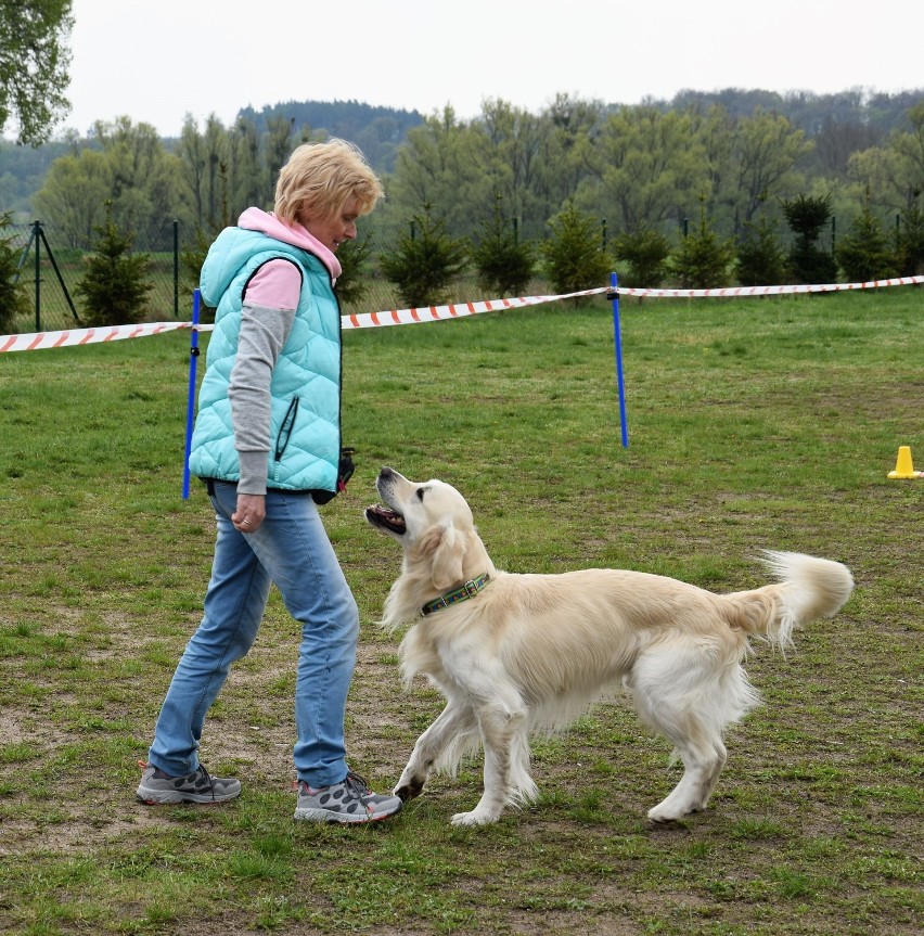  Brzeźno Wielkie. Szkoła odpowiedzialna społecznie. Pierwsze zawody obedience w Brzeźnie Wielkim i pokaz psich sztuczek