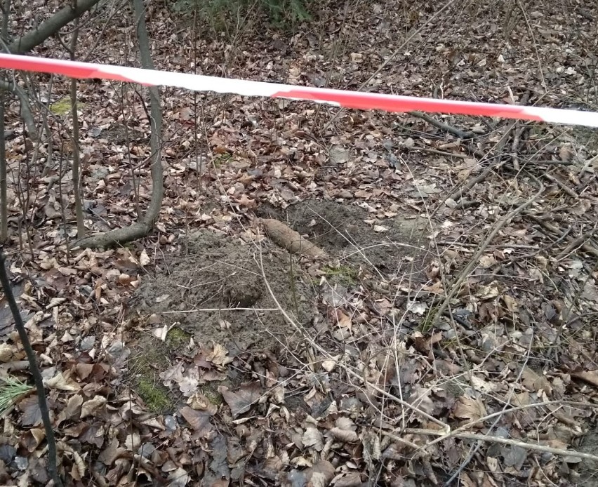 Stary Sącz. Szukali pamiątek zakopanych pod ziemią, znaleźli trzy niewybuchy [ZDJĘCIA]