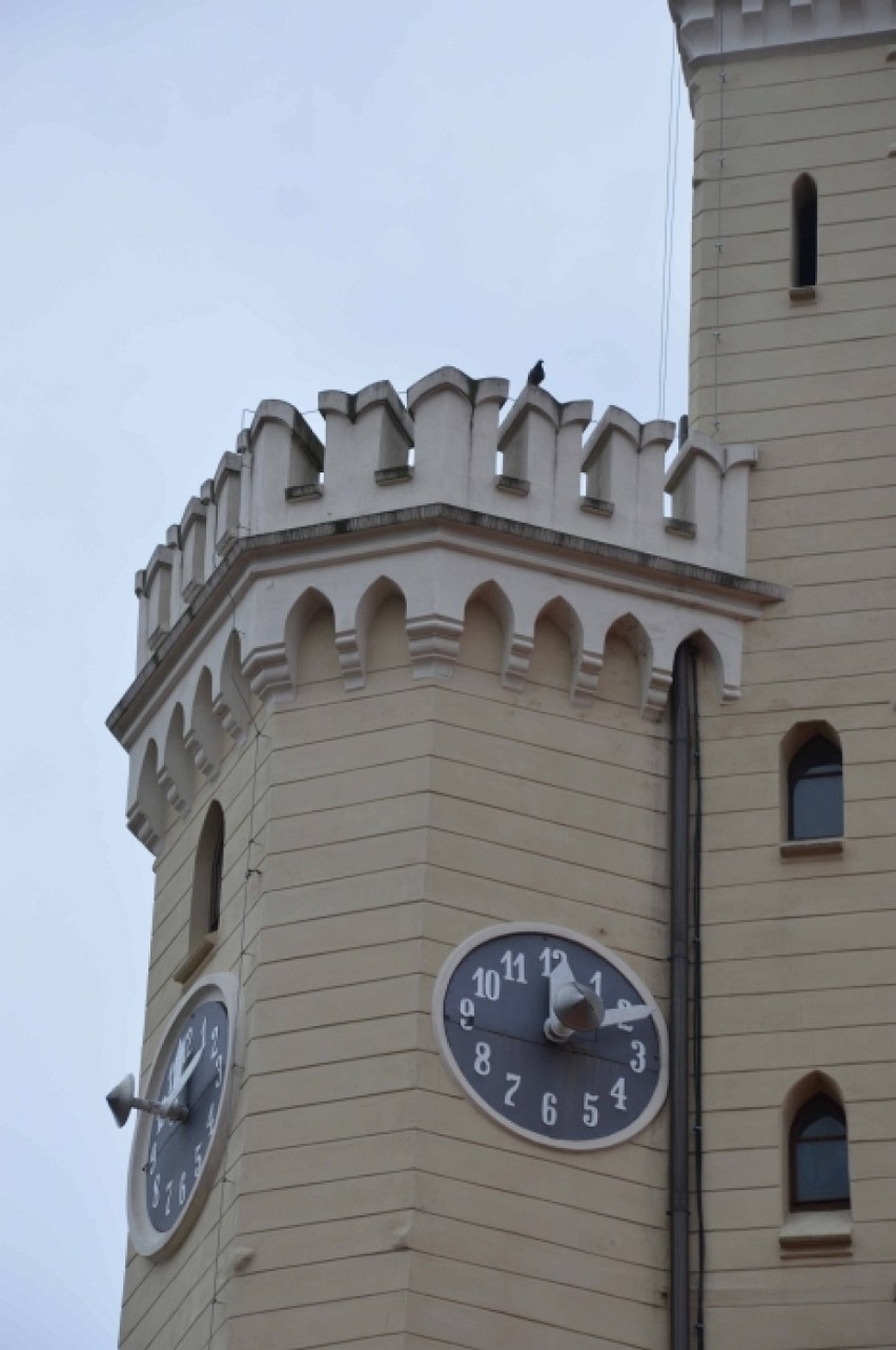 wieża zegarowa świebodzińskiego ratusza