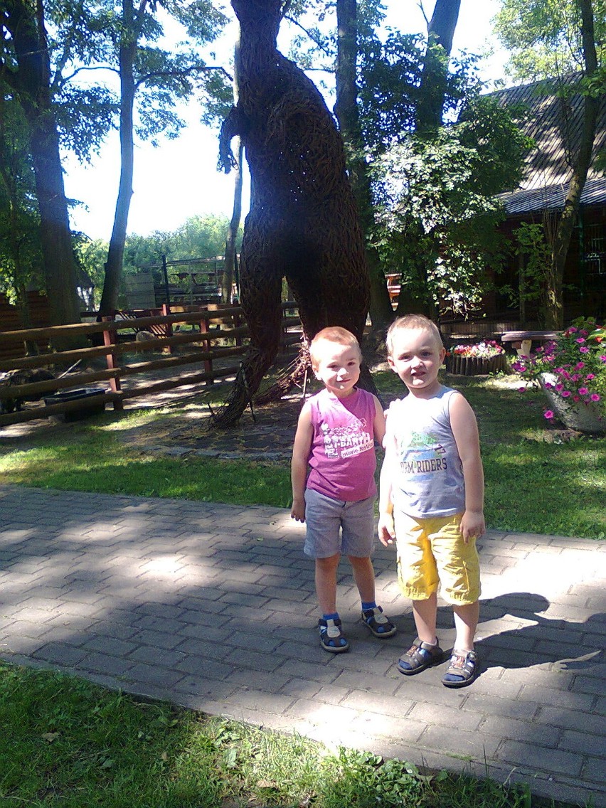 Atrakcje dla dzieci w nowotomyskim zoo [Zdjęcia]