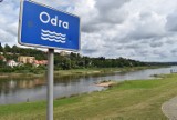 Znowu mało wody w Odrze w Krośnie Odrzańskim. W ostatnich tygodniach poziom wody mocno spadł