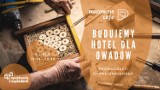 Jak zbudować hotel dla owadów? Naucz się tego na bezpłatnych warsztatach! Podpowiadamy jak się na nie zapisać