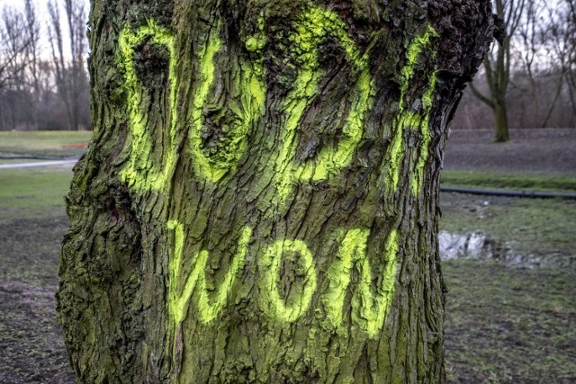 W piątek, 28 lutego odwiedzający park Wodziczki na poznańskim Sołaczu mogli zauważyć na drzewach i ławkach napisy namalowane fluorescencyjnym sprejem o takich treściach jak „Duda won” i „Nie Duda”. 

Kolejne zdjęcie -->