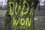 "Duda won" i "Nie Duda" - takie napisy pojawiły się na ławkach i drzewach w parku Wodziczki w Poznaniu