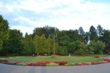 Parkrun w Sosnowcu. Ruszają cotygodniowe spotkania w Parku Kuronia. Do pokonania trasa 5 km