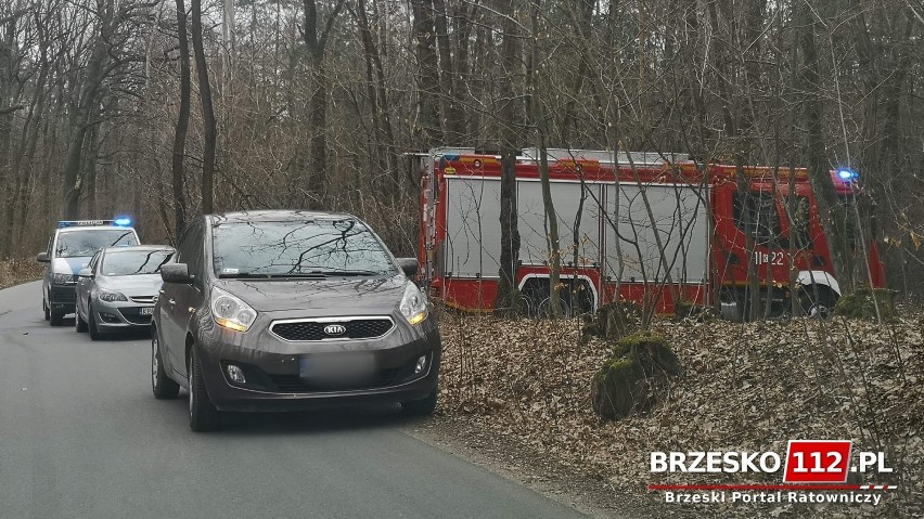 Brzesko. W lesie znaleziono ciało mężczyzny. Na miejscu trwają czynności policji i prokuratury