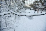 Pogoda na Boże Narodzenie 2023 - długoterminowe prognozy IMGW. Czy będzie padał śnieg na święta?