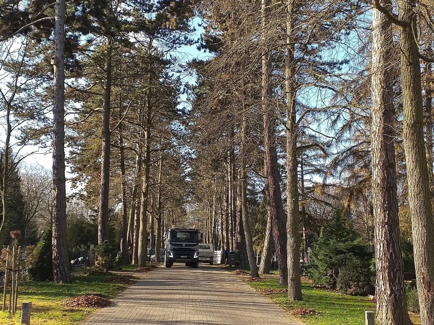 Stargardzki cmentarz cały rozkopany. Budują nowe alejki. ZDJĘCIA