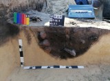 Archeolodzy już znają rozmiar prastarej osady na os. Warniki w Kostrzynie nad Odrą. Była bardzo rozległa!