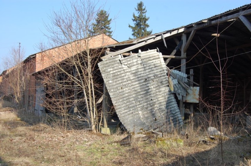 Ruiny PGR w Gostkowie wciąż niebezpieczne. Trwa batalia mieszkańców o uporządkowanie terenu 
