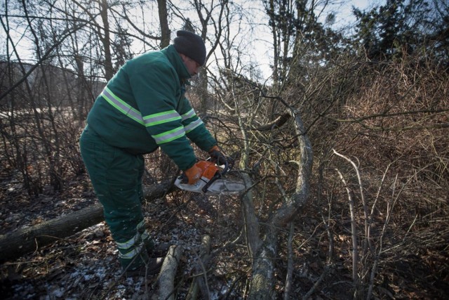 Cała inwestycja ma kosztować około 8 milionów złotych. Na razie rozpoczęła się jej pierwsza część, która dotyczy nieco ponad 4 hektarów powierzchni