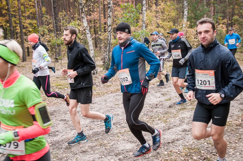 Maraton Kampinoski 2015. Pobiegną w sercu parku narodowego