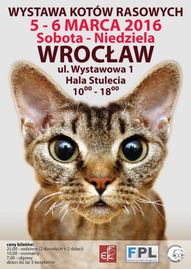 MIĘDZYNARODOWA WYSTAWA KOTÓW
5 – 6  marca 2016, godz.: 10.00 – 18.00
Hala Ludowa, ul. Wystawowa 1, 
Bilety: w kasie wystawy
normalny: 10,00
ulgowy - ( do lat 15): 7,00
rodzinny (2+2): 25,00
dzieci do lat 3 bezpłatnie

Swoją urodę zaprezentuje około 400 kotów różnych ras z całej Polski i Europy.

Hodowcy podzielą się ze zwiedzającymi swoją wiedzą i doświadczeniem.

Będą konkursy i zabawy dla najmłodszych, specjalistyczne show kotów perskich i egzotycznych oraz BRI misiów, stoiska  z akcesoriami dla kotów.

Na wystawie zobaczymy: czekoladowe koty,  koty Devon Rex, bengalskie, Main Coony, norweskie leśne, bezwłose Sfinksy oraz wiele innych ciekawych ras.

Ponad 40 ras w 450 odmianach barwnych.