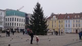 Pogoda Bydgoszcz: sobota, 24 grudnia. Wigilia 