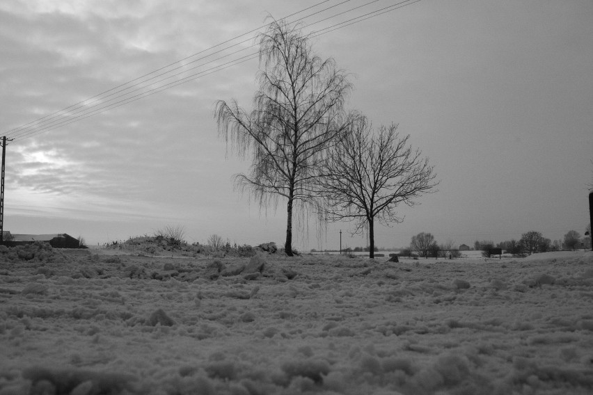 Zima na terenie powiatu gnieźnieńskiego