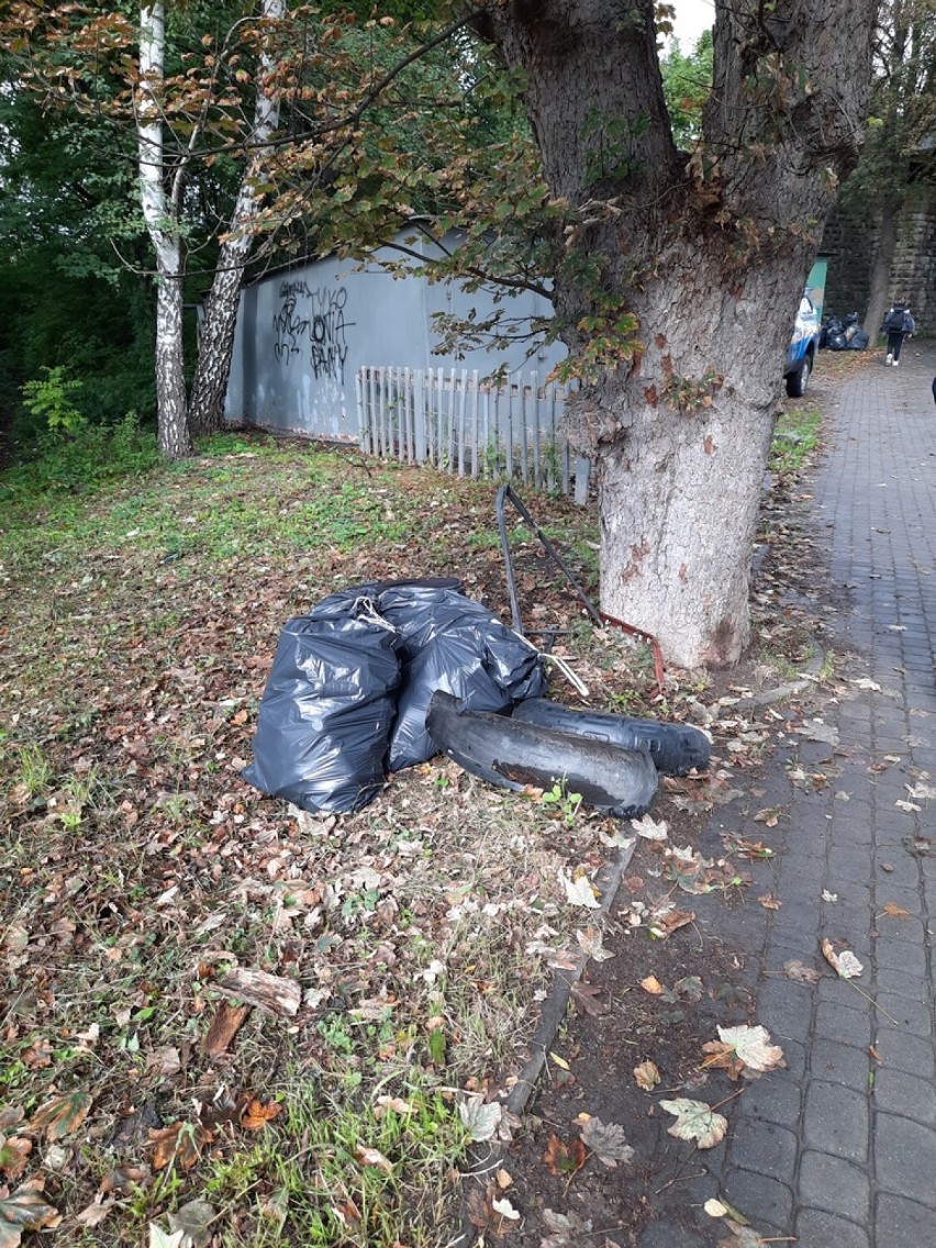 Ponad pięć ton śmieci zebrano podczas akcji sprzątania w...