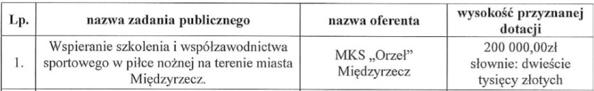 Które kluby na jakie wsparcie mogą liczyć?