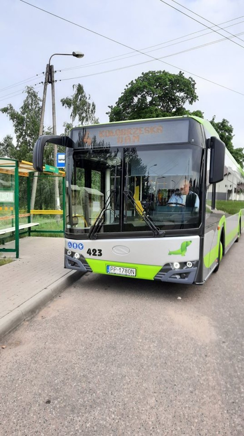 Nowe autobusy wyjechały na ulice Piły [ZDJĘCIA]
