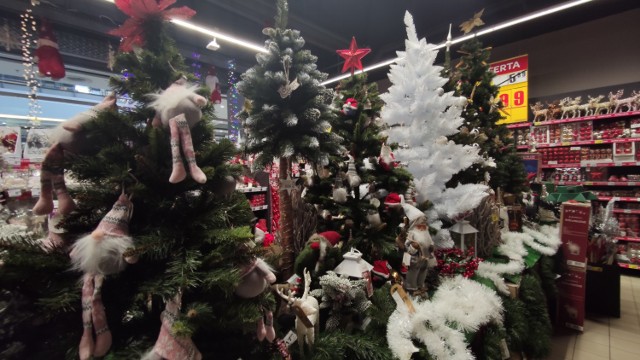 Boże Narodzenie 2020 w Piotrkowie: Modne ozdoby i dekoracje świąteczne  [ZDJĘCIA] | Piotrków Trybunalski Nasze Miasto