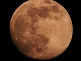 Pełnia "Różowego Księżyca" widziana z woj. lubuskiego. Niezwykłe zdjęcia naszych Czytelników i redakcyjnych kolegów