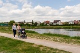 Park przy ul. Fredry powiększy się. Będzie boisko, psi park, alejki spacerowe [ZDJĘCIA]