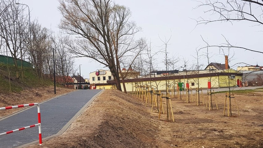 Nasadzenie drzew uatrakcyjnią nowo wybudowaną ścieżkę.