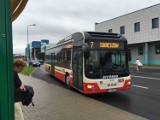 Rowery w autobusach MZK w Jeleniej Górze można będzie przewozić także po wakacjach