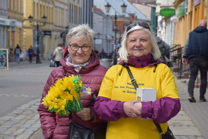 Szczecinek zakwitł na żółto. "Pola nadziei" dla hospicjum [zdjęcia]