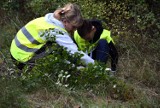 W Żaganiu ludzie kochający park porządkowali parkową wyspę!