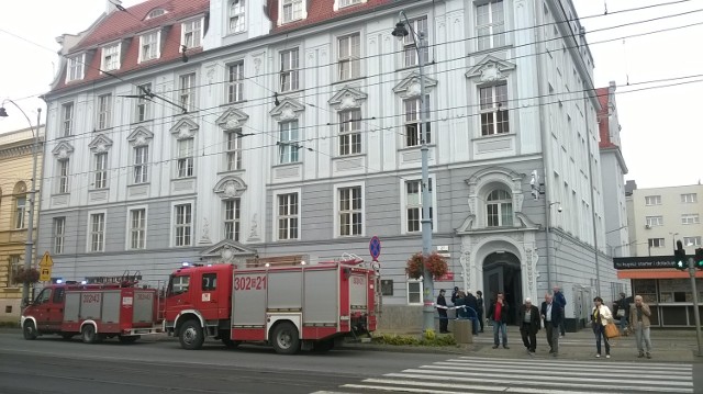 Bomba Sad Gdansk - artykuły | Gdańsk Nasze Miasto