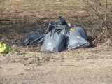 Przy drodze między Przybynowem i Zaborzem sterty śmieci [ZDJĘCIA]