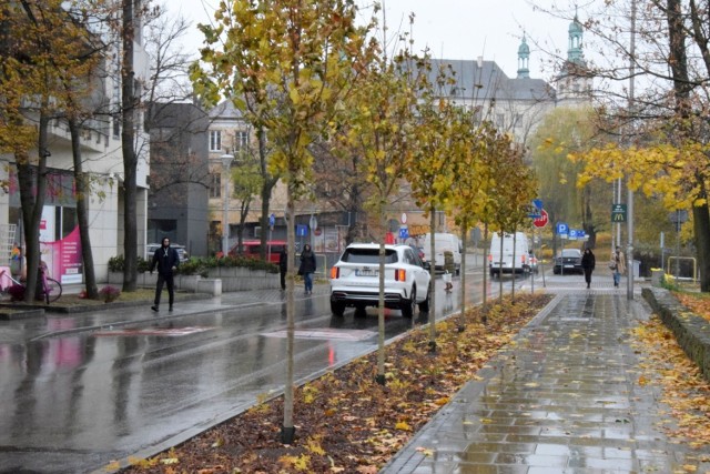 Przy ulicy Solnej w Kielcach  przed parkiem miejskim powstała nowa enklawa zieleni.