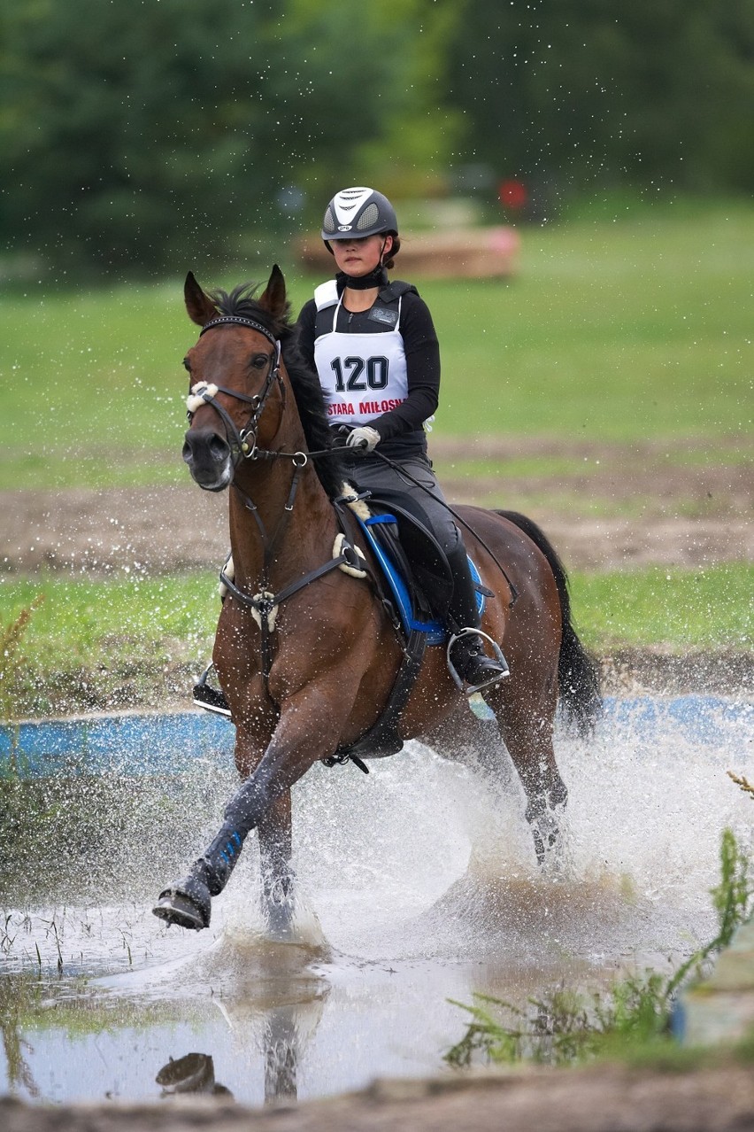 Weronika Kalina
Na  koniu Dakku zajęła 6. miejsce
w Pucharze...