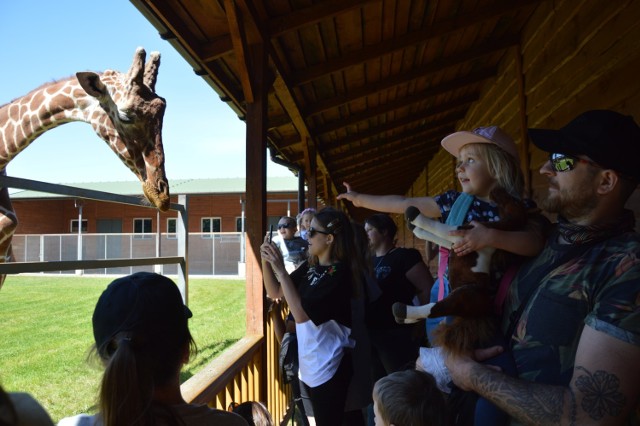 Dzień Dziecka w Zoo Safari w Borysewie 2020