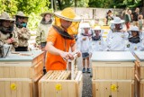 Fabryka Pełna Życia zaprasza na weekend. Muzyka, joga i rodzinne warsztaty pszczelarskie