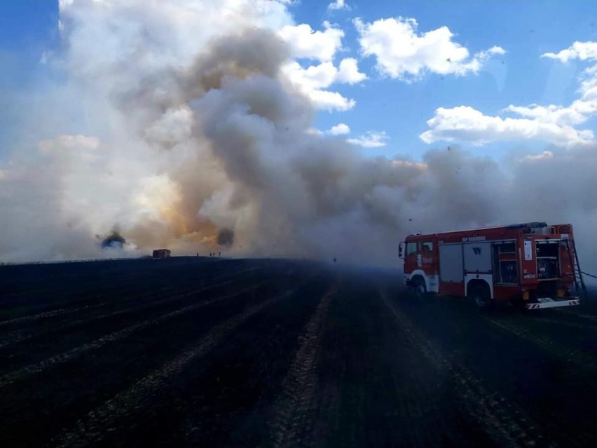 Trwa seria pożarów pól w powiecie szamotulskim. W sobotę spłonęło 70 hektarów! [ZDJĘCIA]